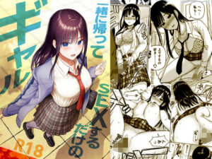 一緒に帰ってSEXするだけのギャル  エロ画像716293